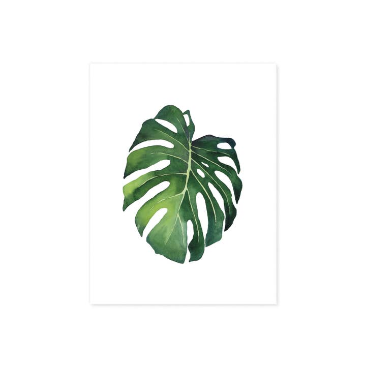 Hoja de Monstera para venta al por mayor de Blue Twist & Co