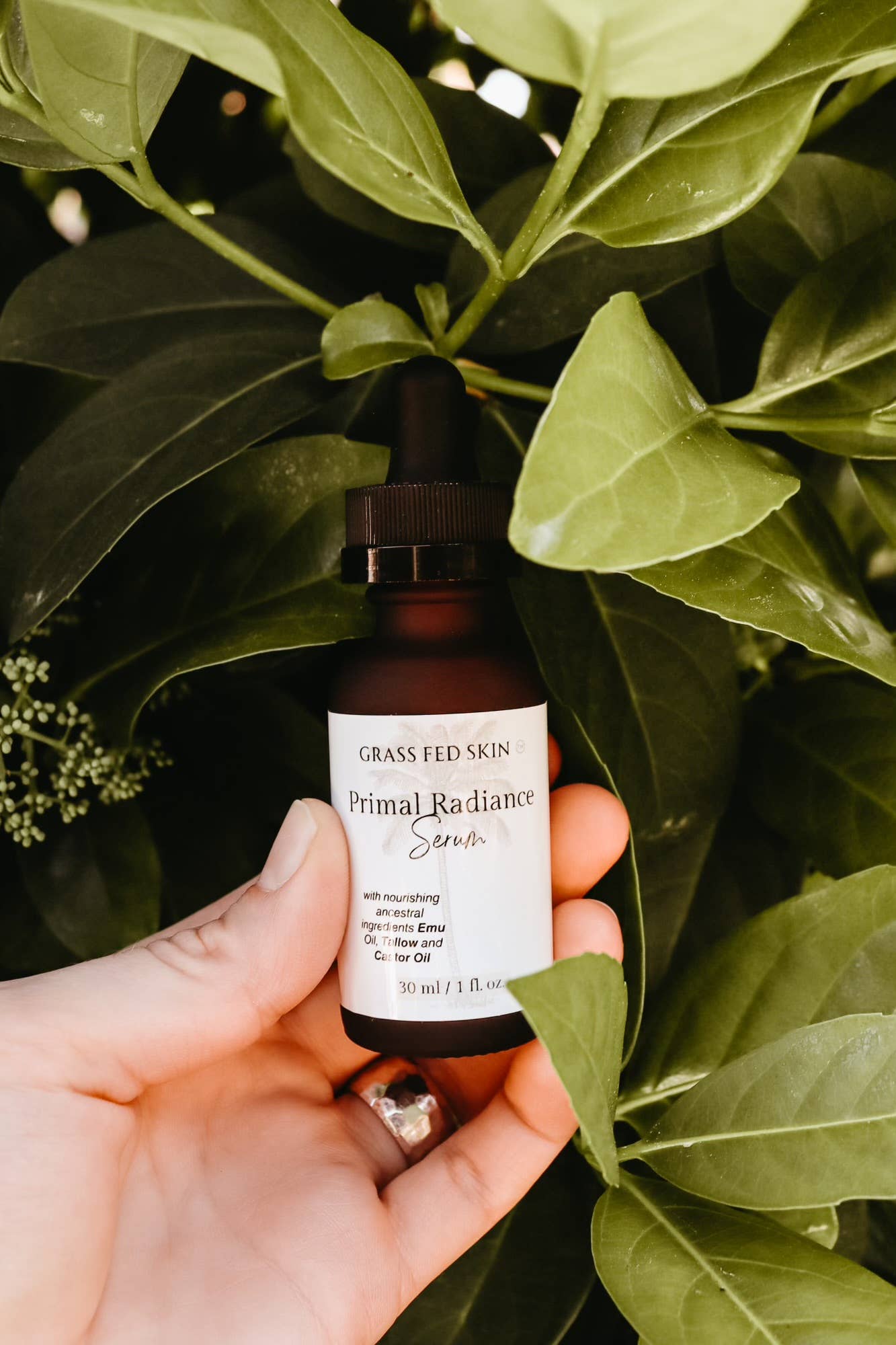 Grass Fed Skin - Wholesale Facial Serum/Concentrate - Primal Radiance Serum1
