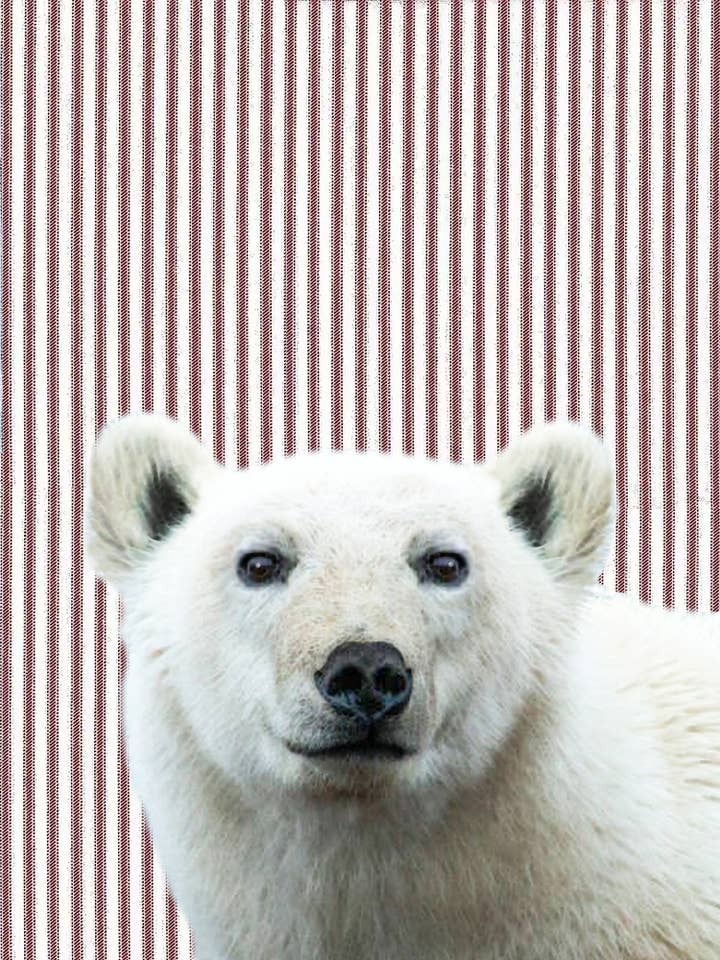 polar bear (ticking stripe) 100% cotton flour sack kitchen towel 18 x 24 inches for wholesale by Alphie and Ollie