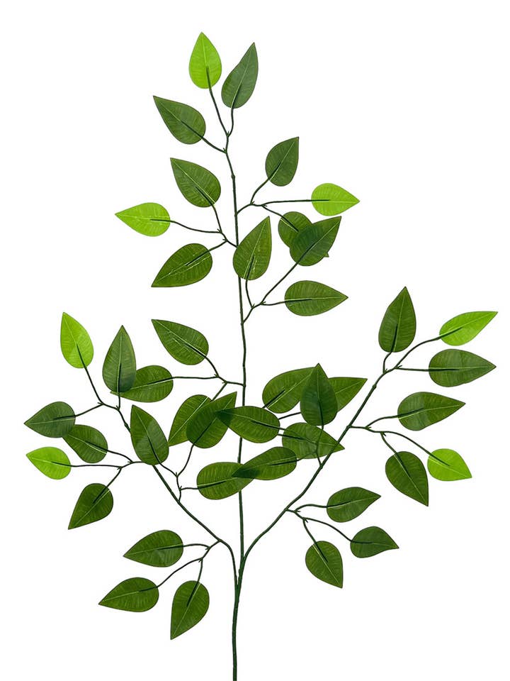 FOLHA FICUS X42 TACT.NAT.VERDE 65cm(62mm) por atacado de Aguilar Málaga