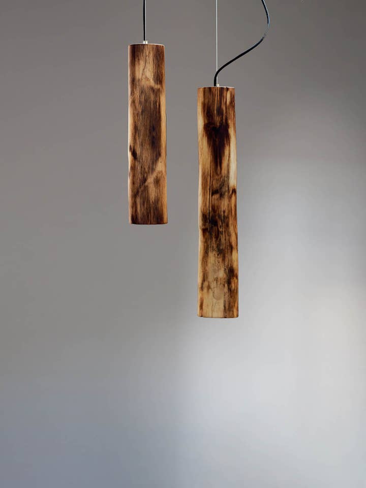 Catalpa para venta al por mayor de Con La Palma