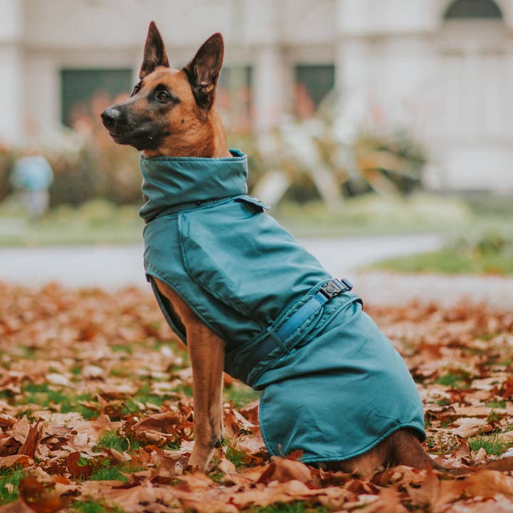 Stylish Hound - Wholesale Pet Raincoat - Dog - Teal Trench Coat