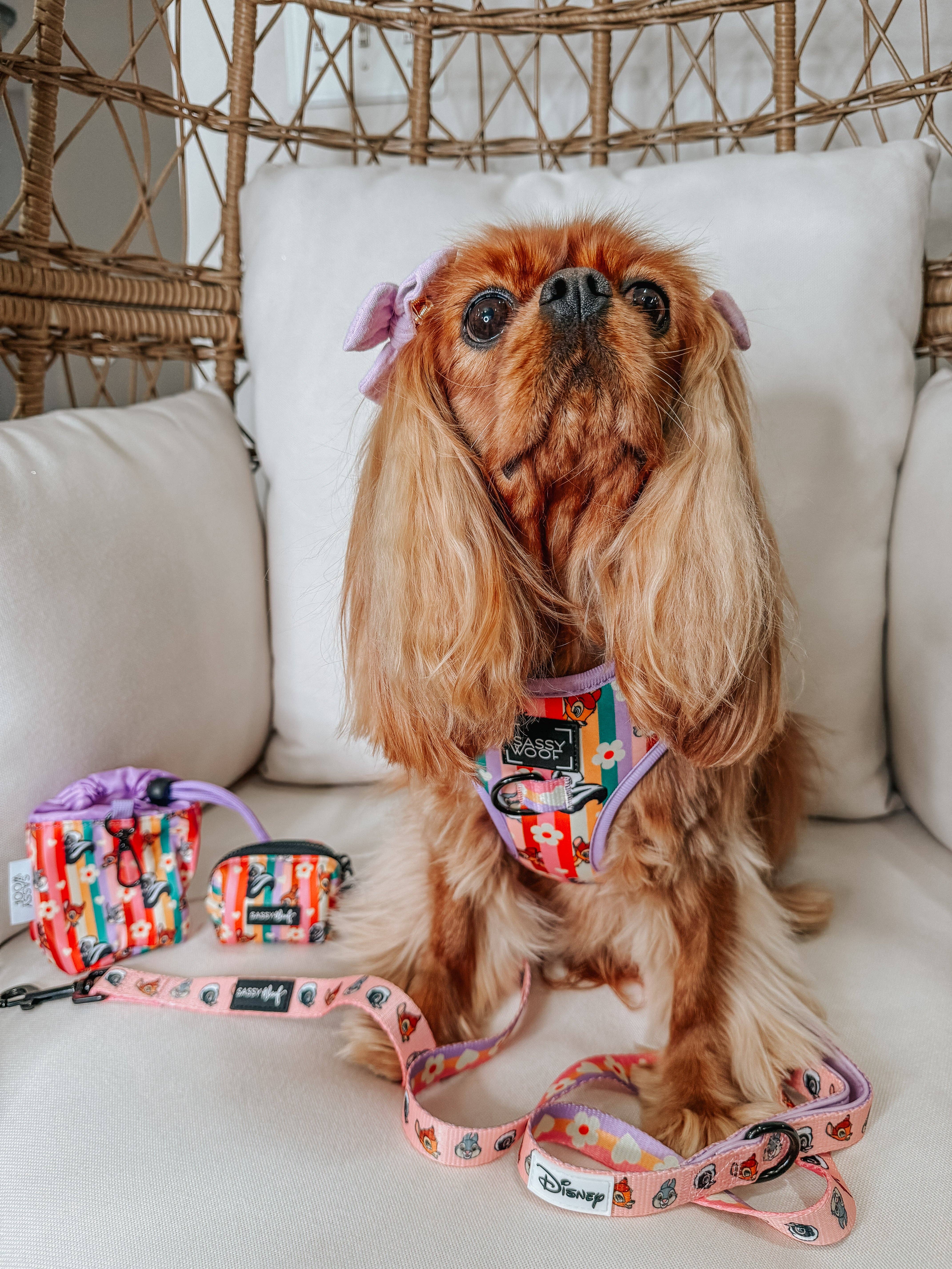 SASSY WOOF - Wholesale Pet Harness - Dog - Dog Adjustable Harness - Disney's Bambi8