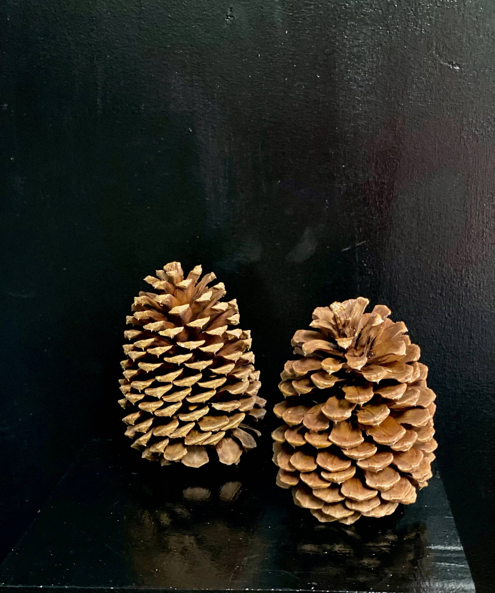 Northwoods Natural Accents - Wholesale Plant Pot - Jeffrey Pine Cones