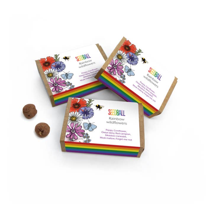 Seedball – wholesale Plant seeds – Pride Rainbow Wildflower Seedball Boxes2