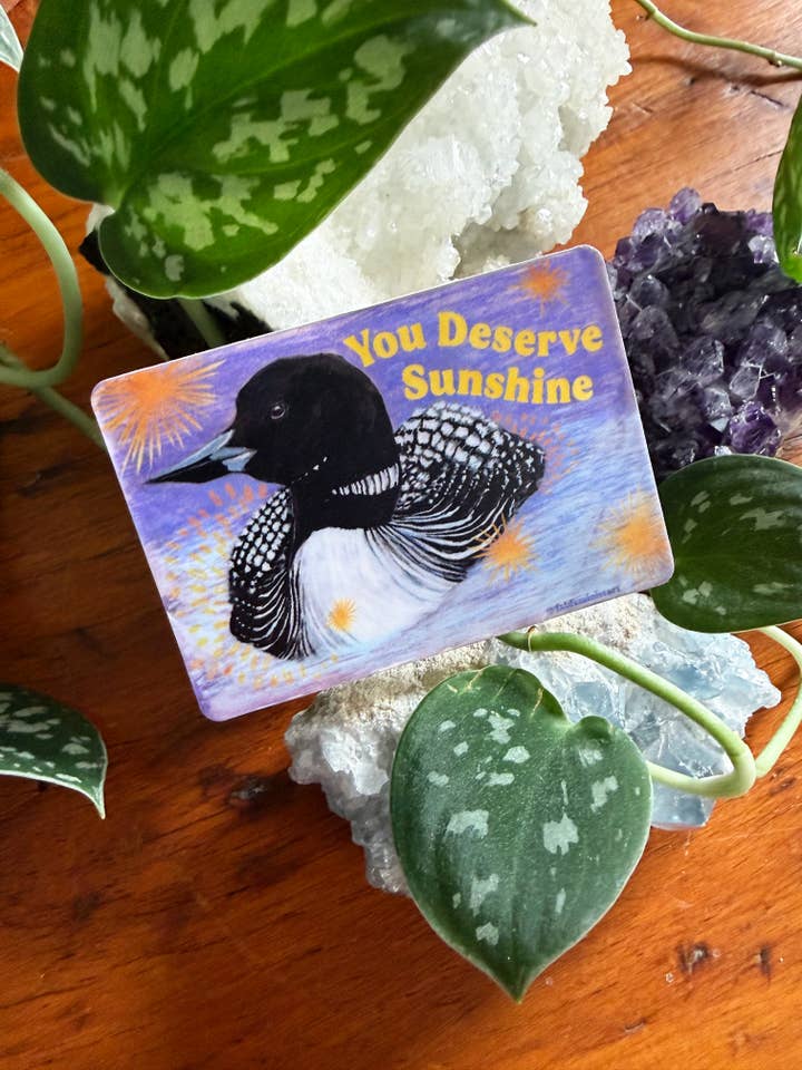 Te mereces sol: pegatina de Loon para venta al por mayor de Fabulously Feminist