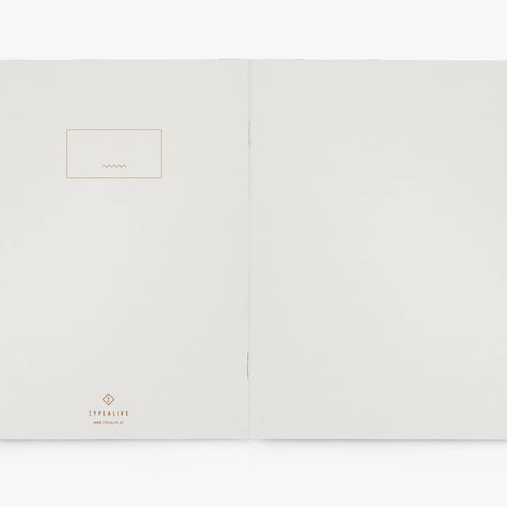 typealive - Wholesale Notebook - Journal/Feminist Agenda1