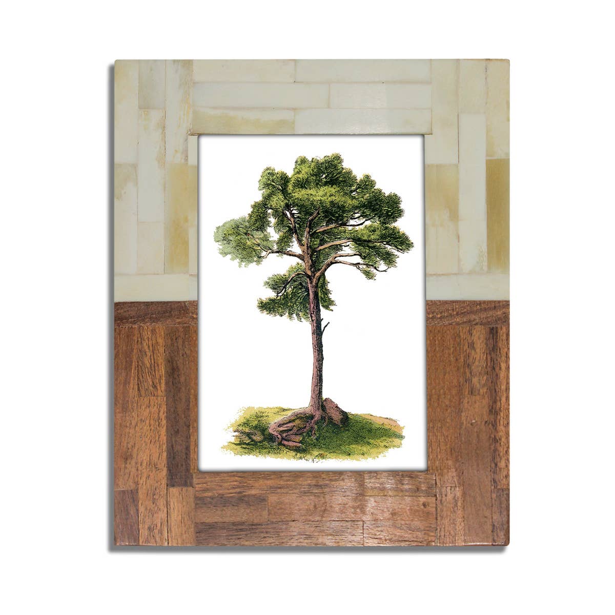 India Handicrafts Inc - Wholesale Picture Frame - Split Wood & Bone Photo Frame2