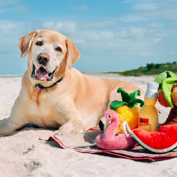 In Vogue Pets – wholesale Pet plush toy – Dog – Tropical Paradise Canine Cerveza4