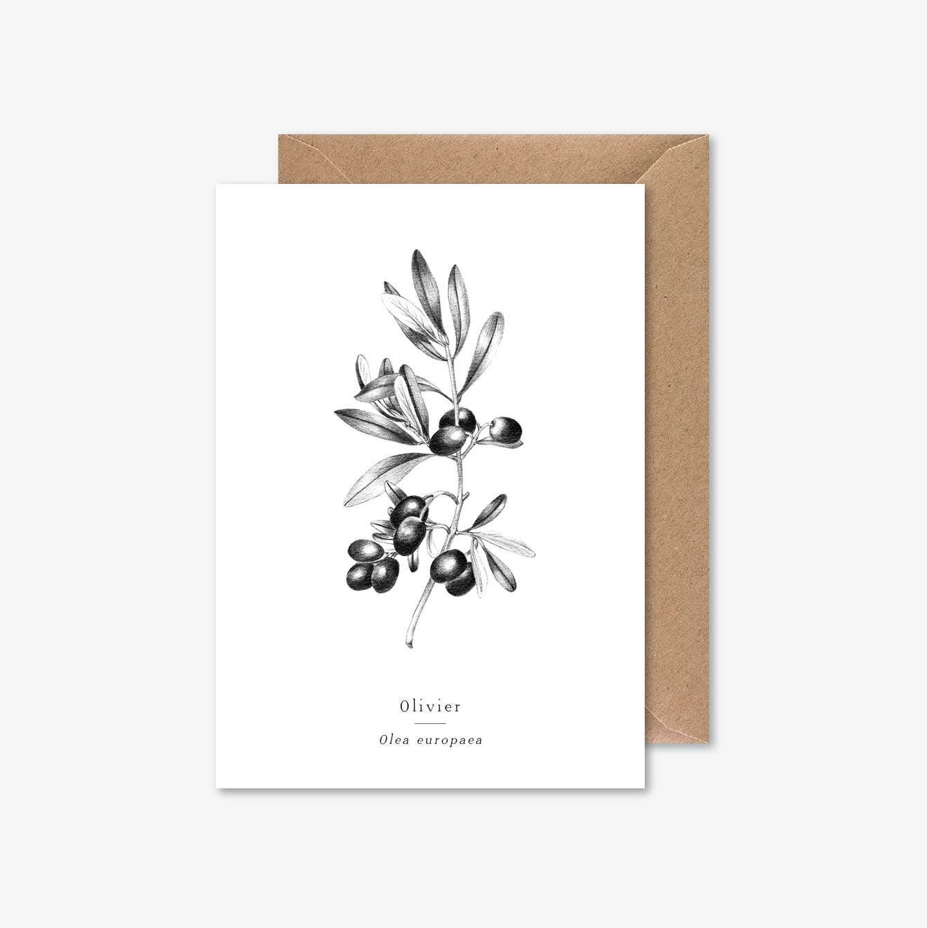 Papier Mirage - Wholesale Everyday Greeting Card - Oliver0