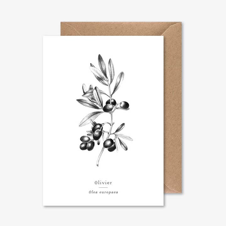 Papier Mirage - Wholesale Everyday Greeting Card - Oliver0