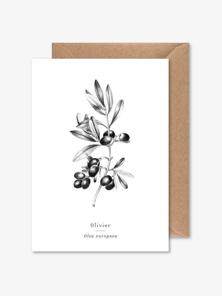 Olivier para venta al por mayor de Papier Mirage