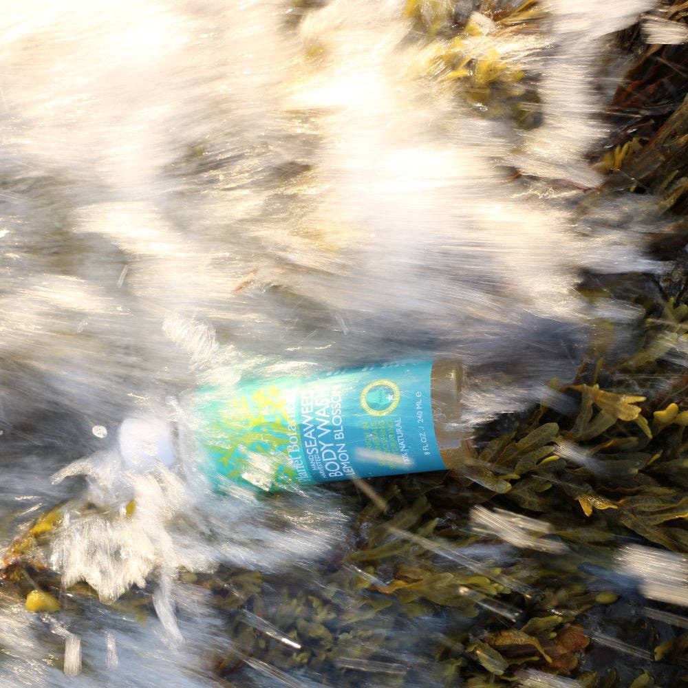 Planet Botanicals - Wholesale Body Wash/Shower Gel - Seaweed Body Wash3