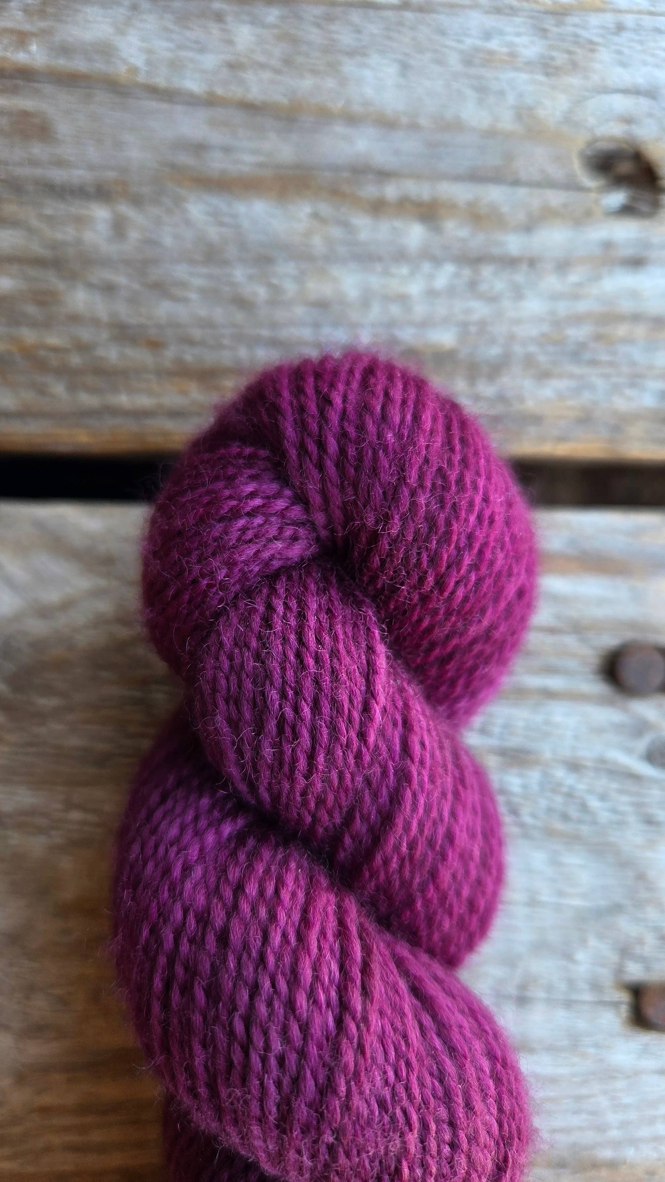 Koigu Wool Designs - Venta al por mayor Hilos - Paleta KPM de vacaciones (hilo de merino fingering)4