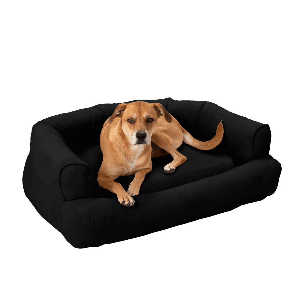 Snoozer Pet Products – wholesale Pet bed – Dog – Luxury Sleeper Sofa with Microsuede3