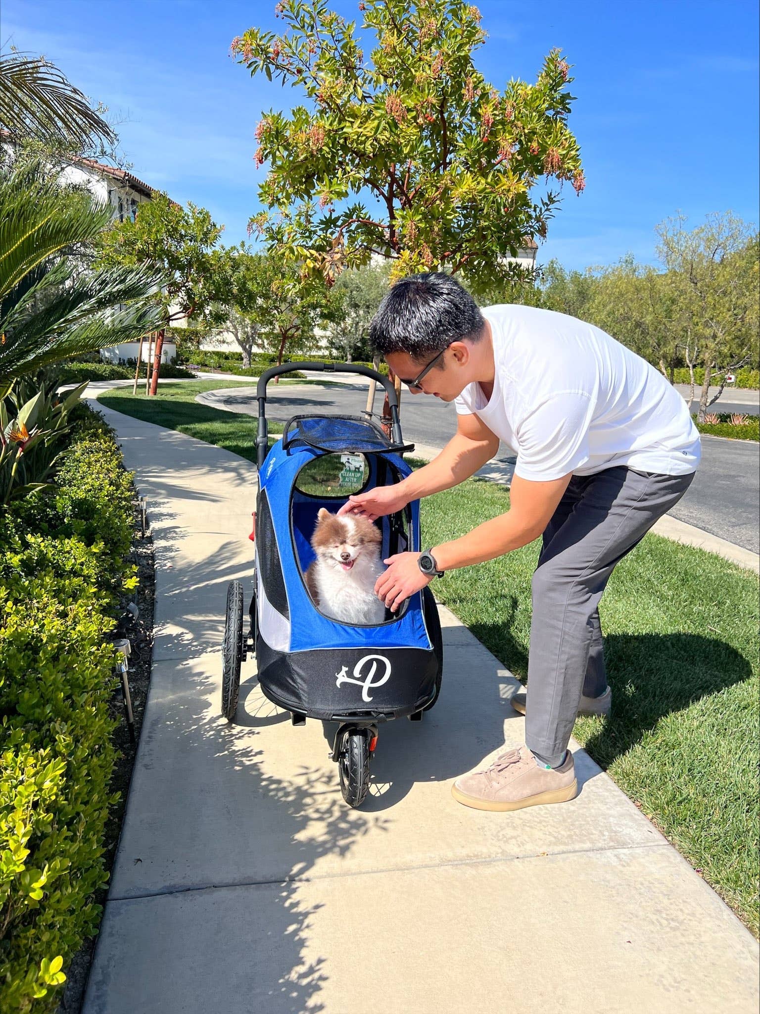 Only An Ocean Europe - Wholesale Pet Carrier - Cat/Dog - Petique Trailblazer Pet Jogger24