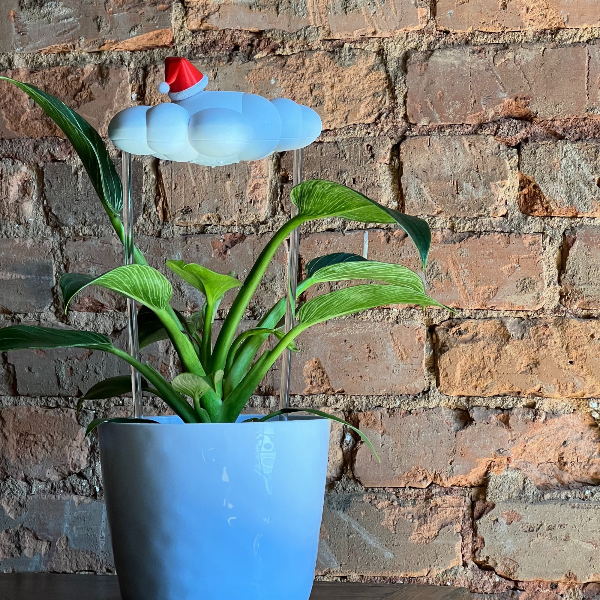 The Cloud Makers - Wholesale Plant Pot - Santa Hat Charm4