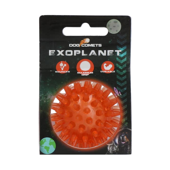 Dog Comets Exoplanet Orange S for wholesale by Hofman Animal Care