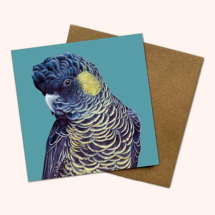 New design - Bindi the Yellow Tailed Black Cockatoo card for wholesale by Jess Hutchison Art