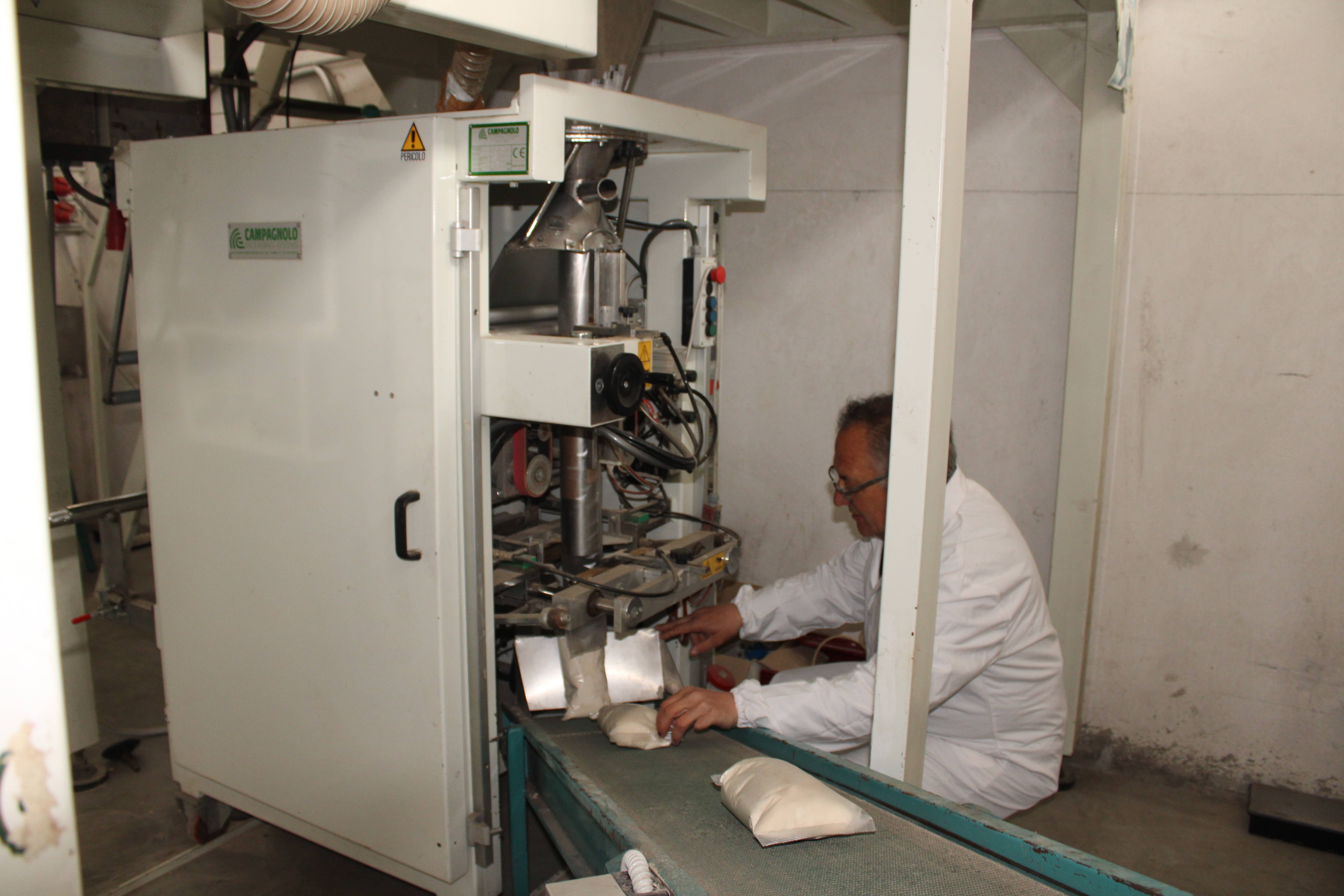 Alpa - Vendita all'ingrosso Farine - Farina di castagna Bio1