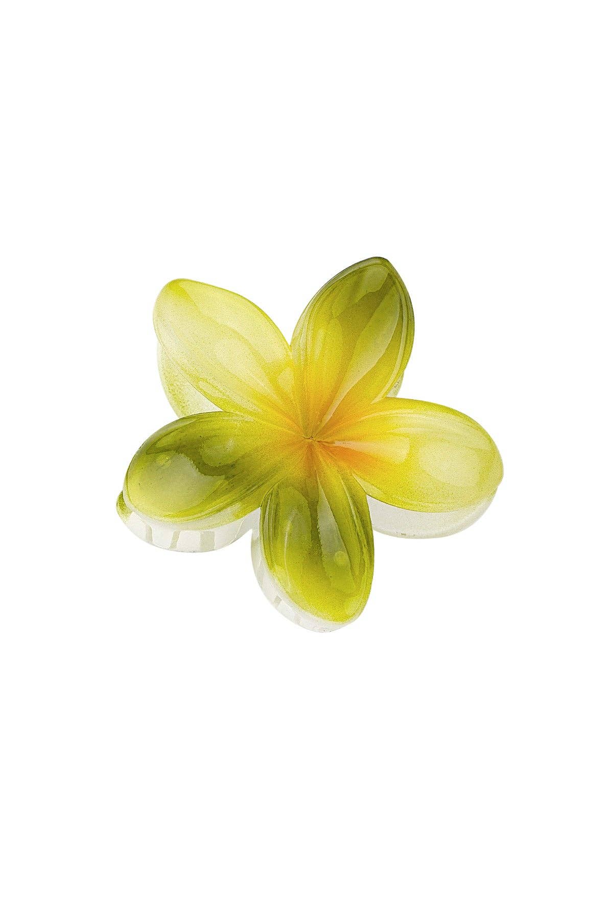 Cala Rose - Wholesale Hair Clip - Women's - SET ALOHA2