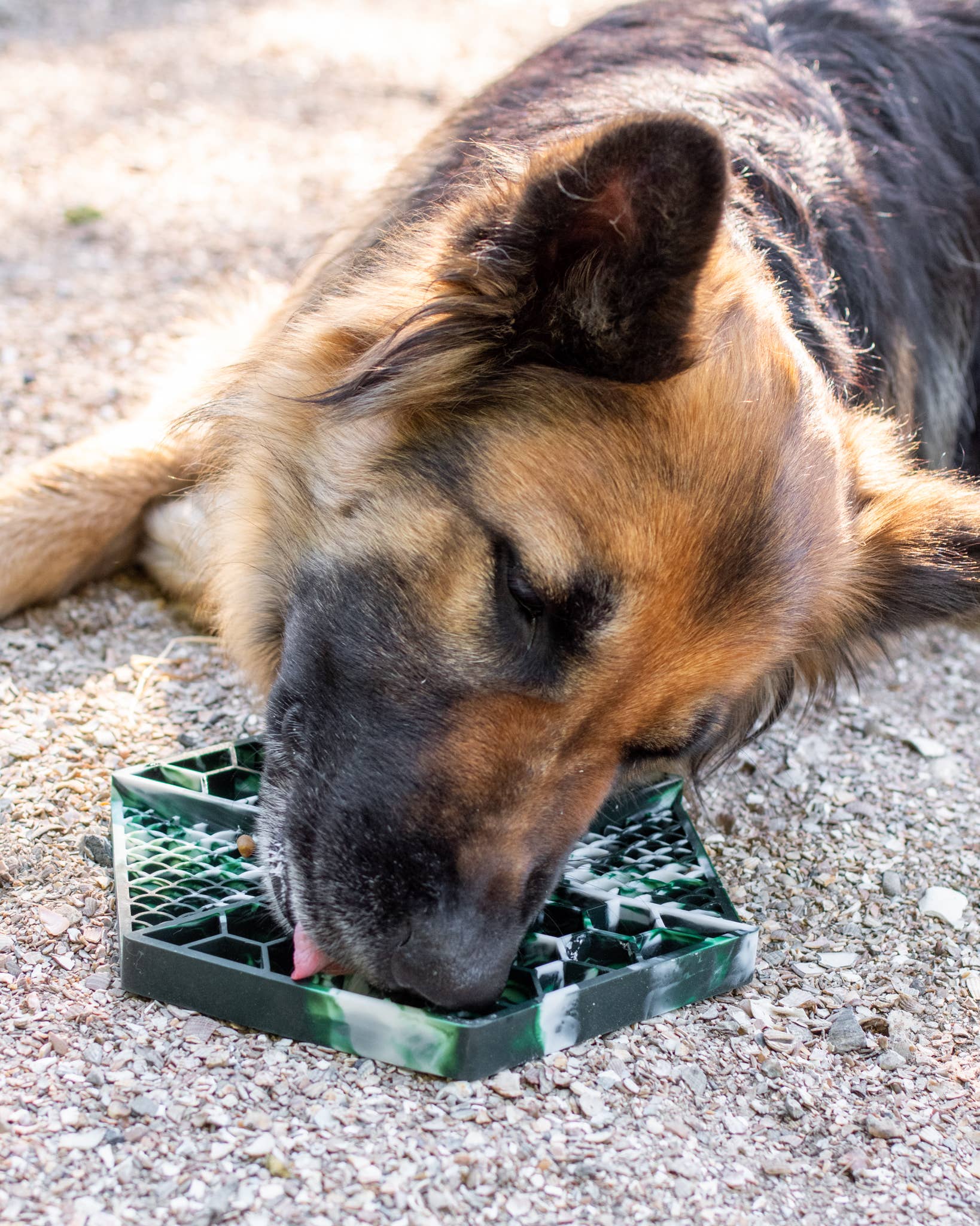 LIEVICK - Vendita all'ingrosso Tappetino sottociotola per animali - Cane - LIEVICK tappetino da leccare verde scuro e bianco2