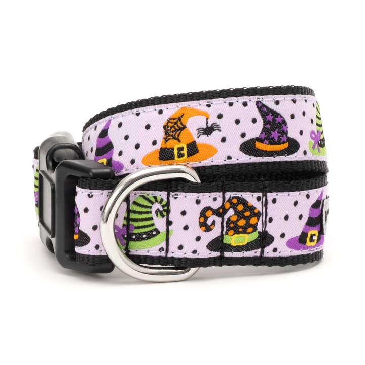 Violet Collier de chien ensorcelé en vente sur Faire0