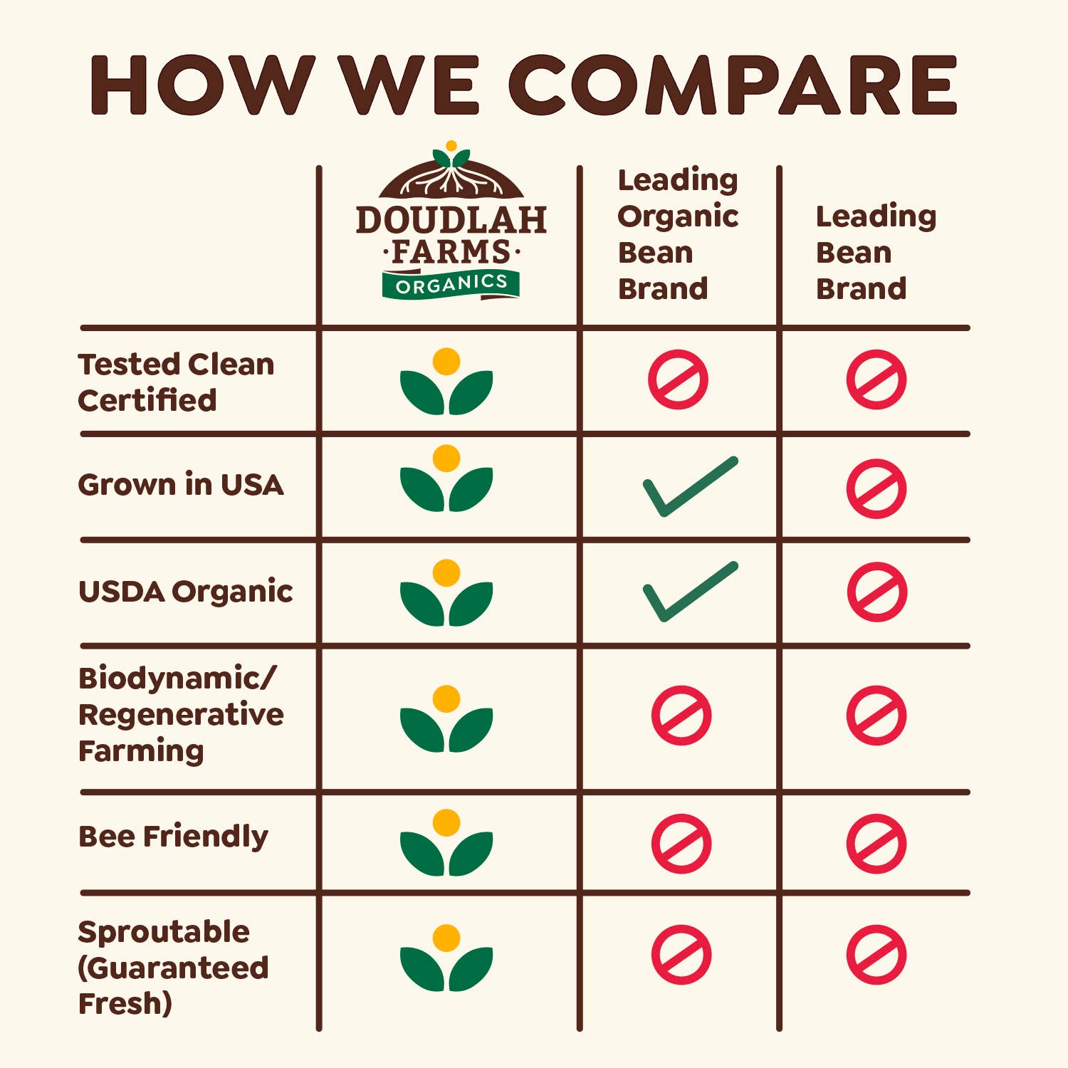 Doudlah Farms Organics - Wholesale Beans - Organic Small Red Beans3