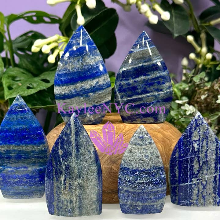 KayleeNYC - Wholesale Spiritual Stone/Crystal - 6-8 PCs Natural Lapis Lazuli Freeform Healing Energy