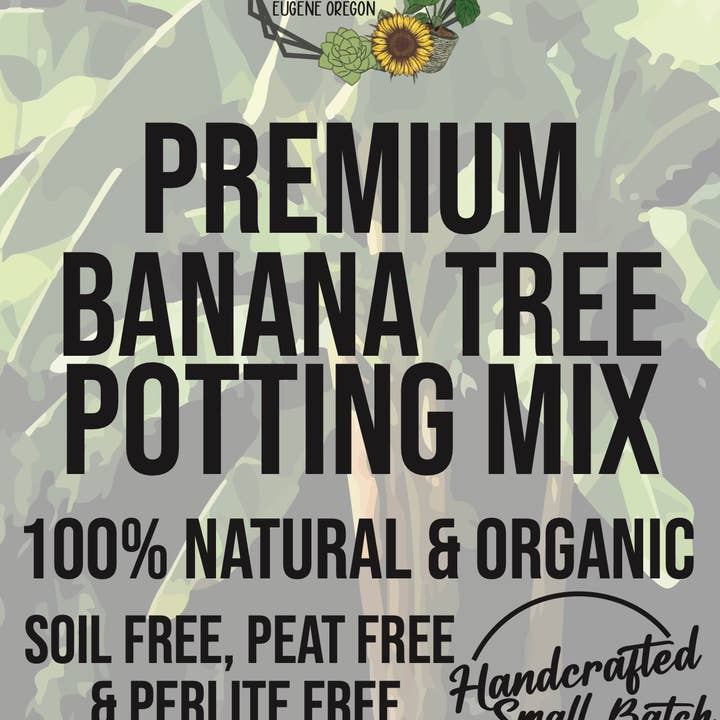 Banana Tree Premium Potting Mix for wholesale by Rooting For You Plant Nursery