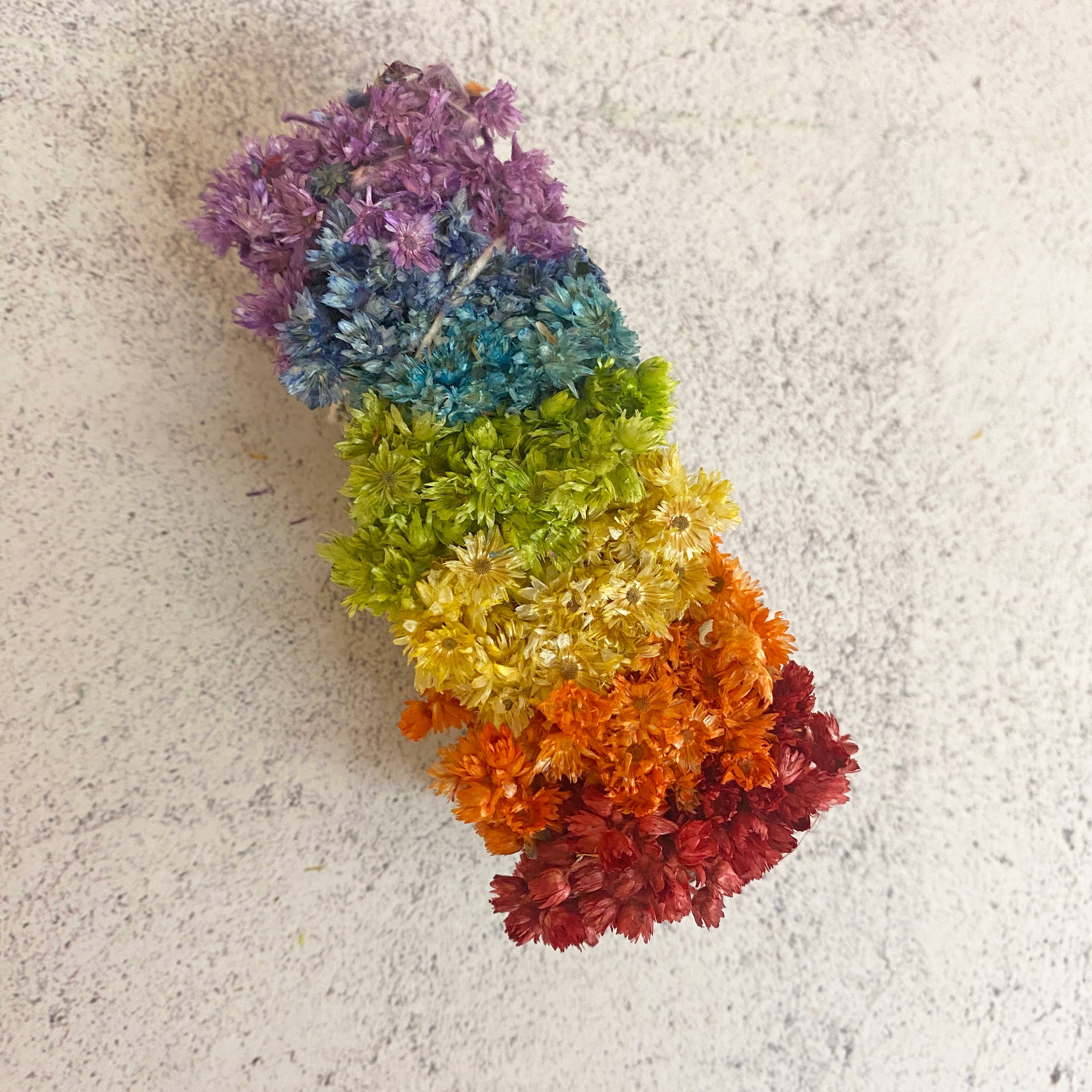 Oakwind Hollow - Wholesale Smudge Stick - Rainbow Chakra Mullein Floral Smudge Stick1