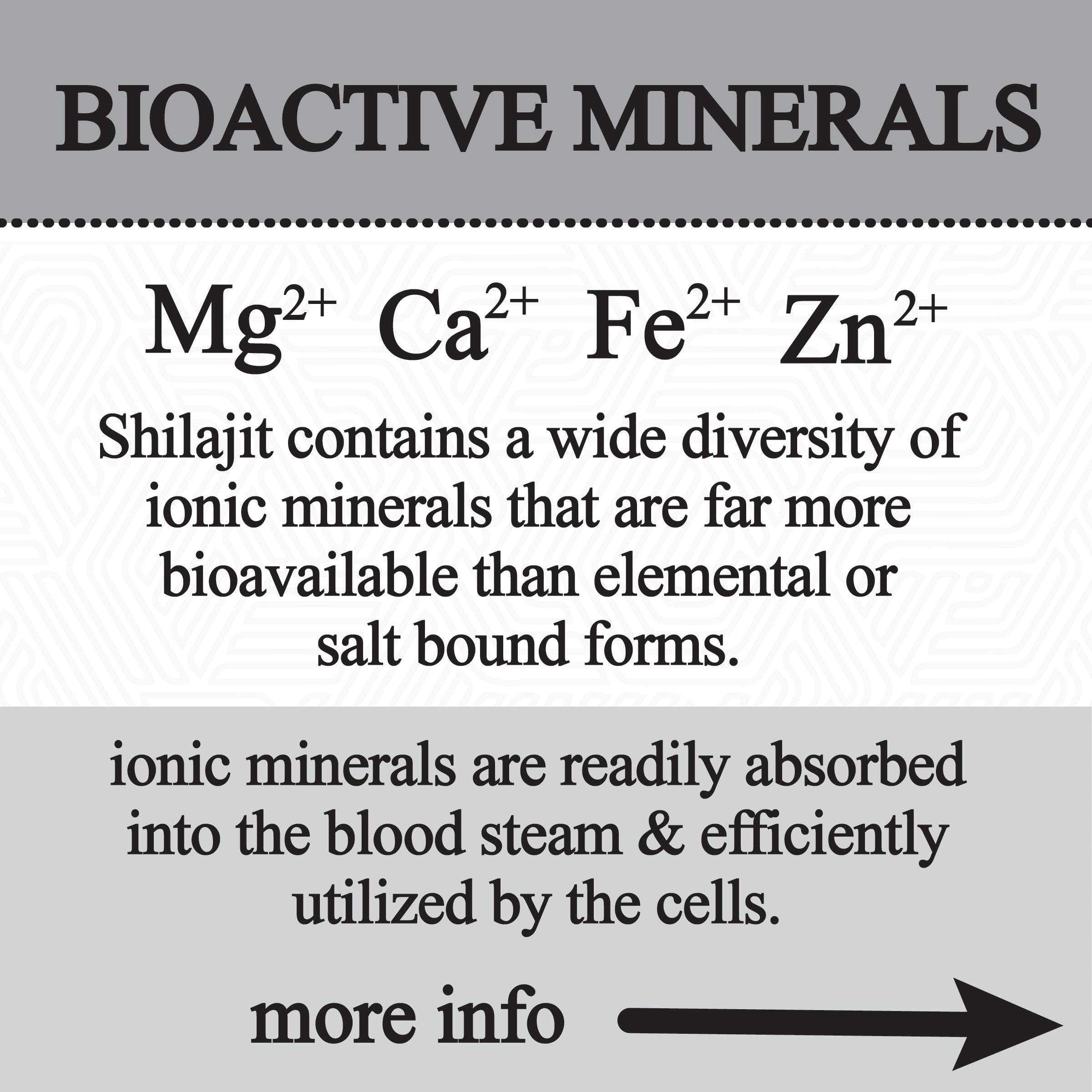 Roots Apothecary - Vente Supplément oral/vitamine - glycérine de shilajit (60 ml)3