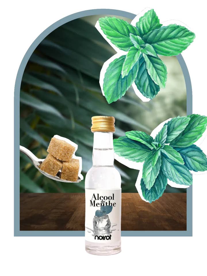 Peppermint Alcohol 3 cl 80% vol for wholesale by Antésite - Maison Noirot