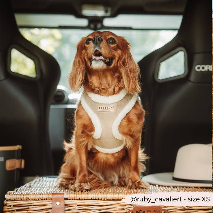 Cocopup London - Vendita all'ingrosso Pettorina - Cani - Pettorina da collo regolabile Nude Aviator9