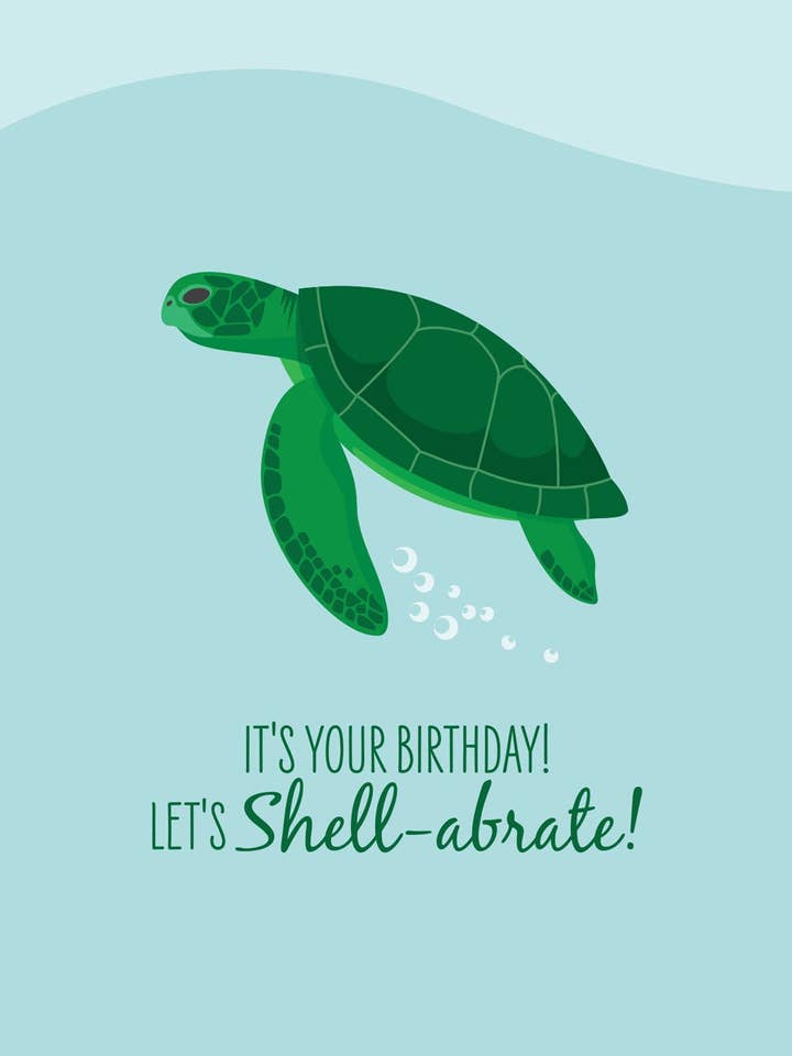 Birthday Card - Green Turtle for wholesale by Sailfish Creative