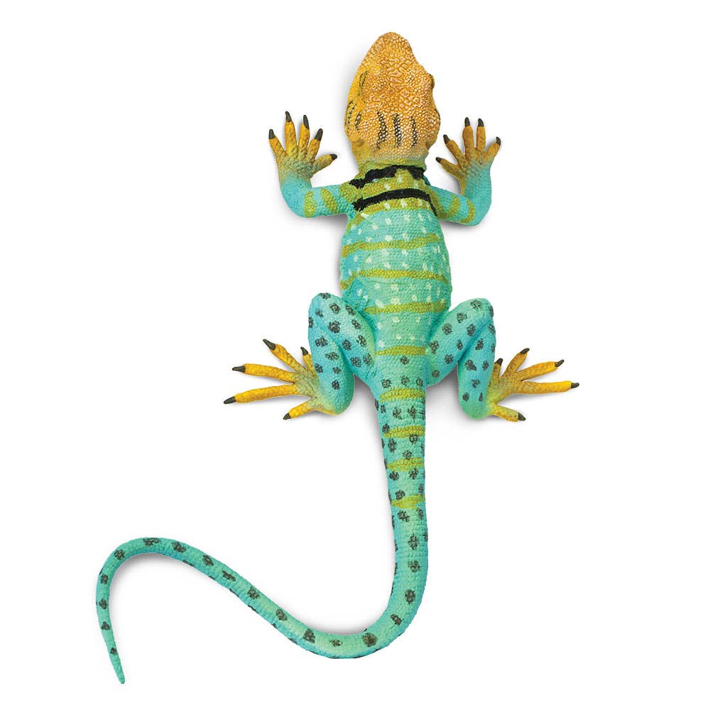 Safari Ltd. - Wholesale Figurine Toy - Kids - Collared Lizard - 2710293