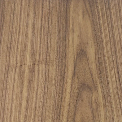 zoo&roo - Wholesale Ornament - Megalodon NC state fossil ornament2