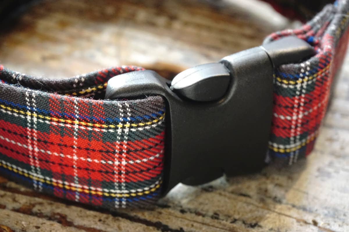 hundsfutter - Wholesale Pet Collar - Dog - Collar, leash, and bag holder set.16