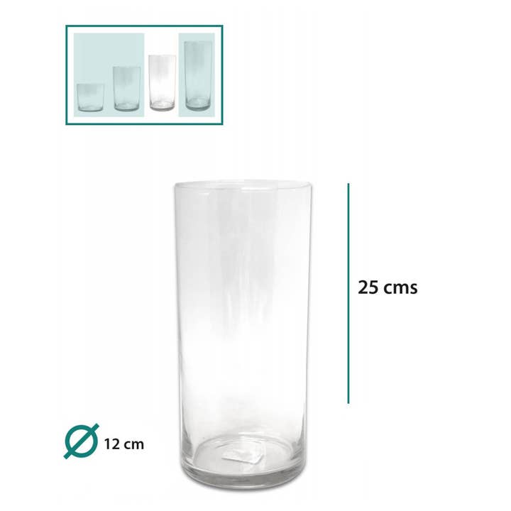 B&B - Wholesale Vase - Glass Vase, Transparent Color, 12X12X25cm1