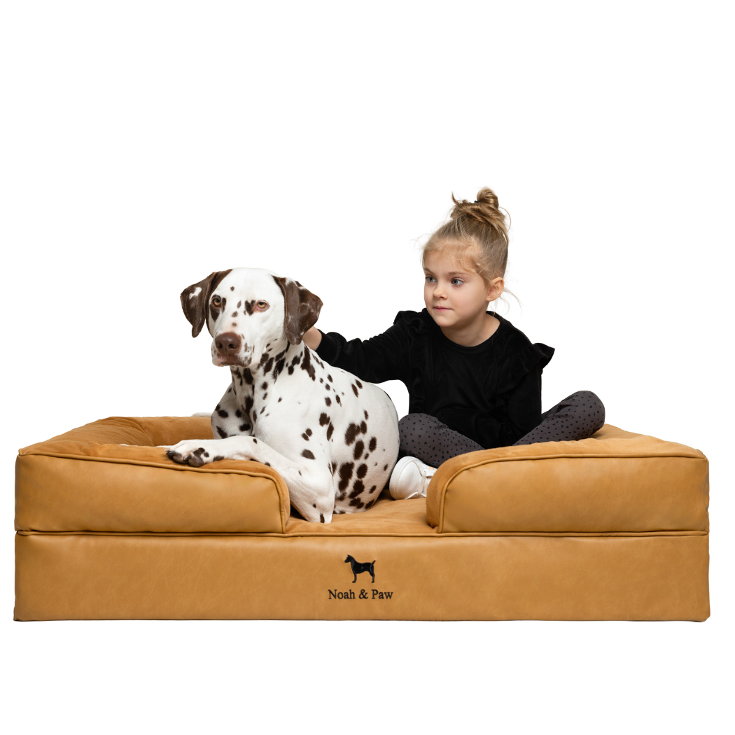 NOAH AND PAW LLC – Großhandel Haustierbett – Katze/Hund – Orthopädisches Hundebett im Sofastil aus Kunstleder mit Memory-Schaum und kühlendem Gel8