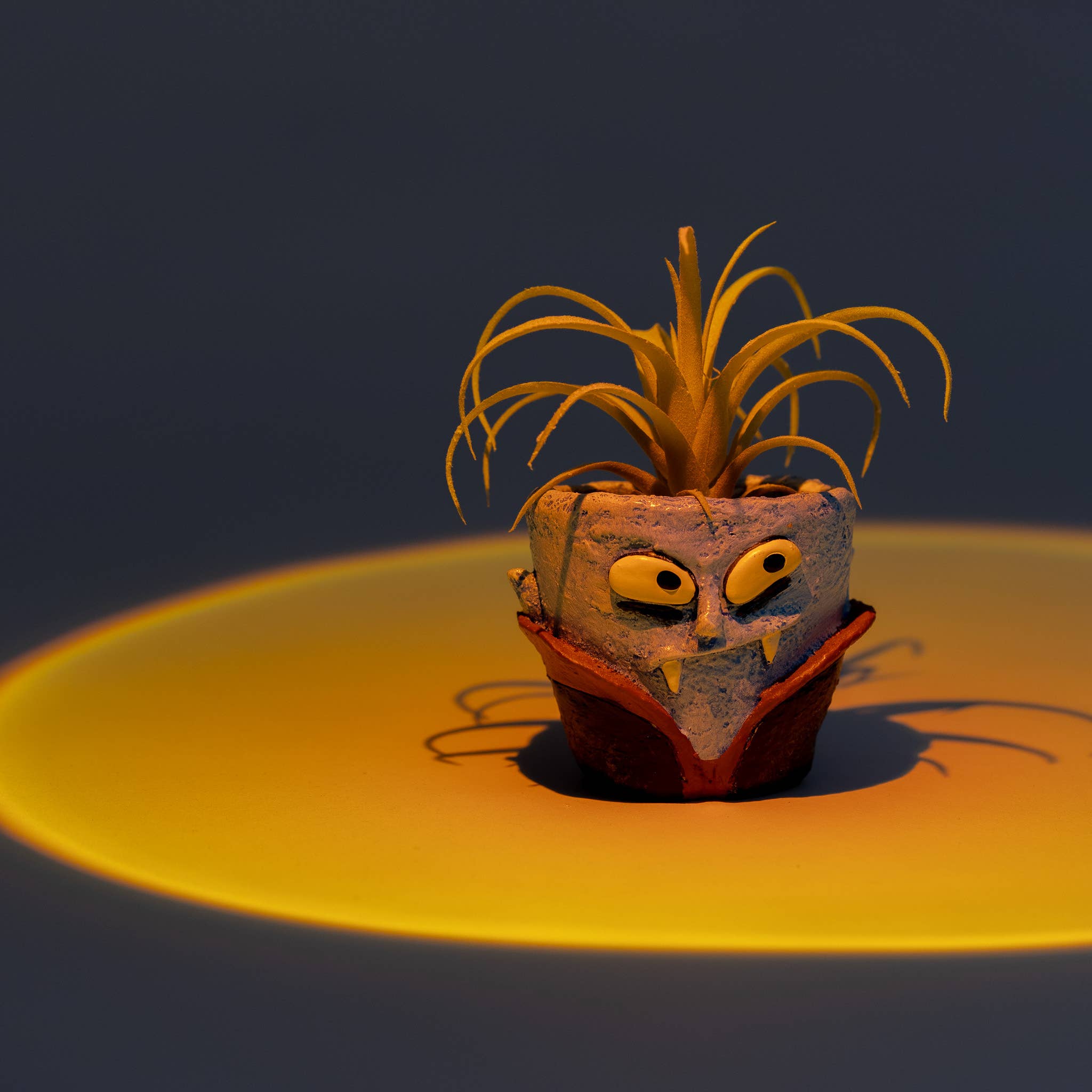 Cohasset Gifts - Wholesale Plant Pot - Vampire Blobhouse Planter - Count Succula - Halloween Blobs1