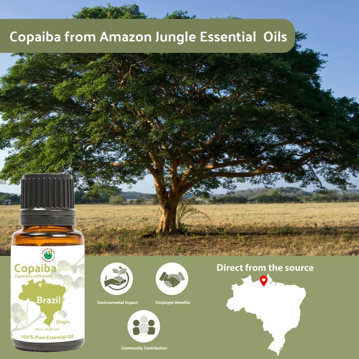Nature Packaged - Wholesale Essential Oil - Copaiba Essential Oil - 100% Pure - Farm-Direct Sourcing