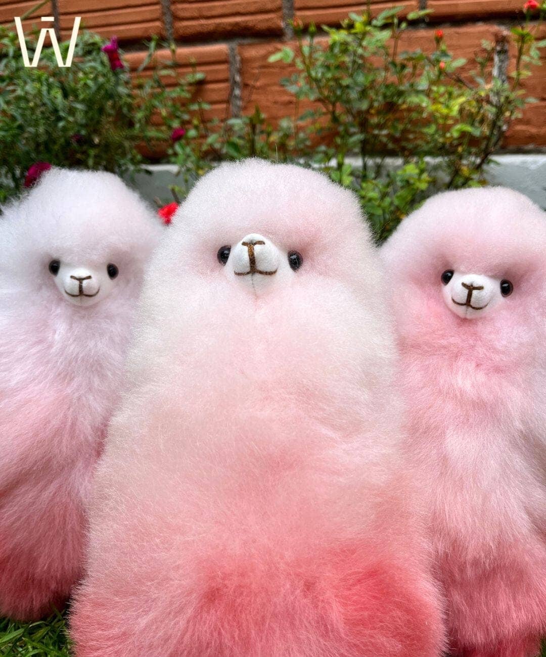 Choice Alpaca Products - Vendita all'ingrosso Peluche - Bambini e neonati - Collezione di Giocattoli in Pelliccia di Alpaca Premium23