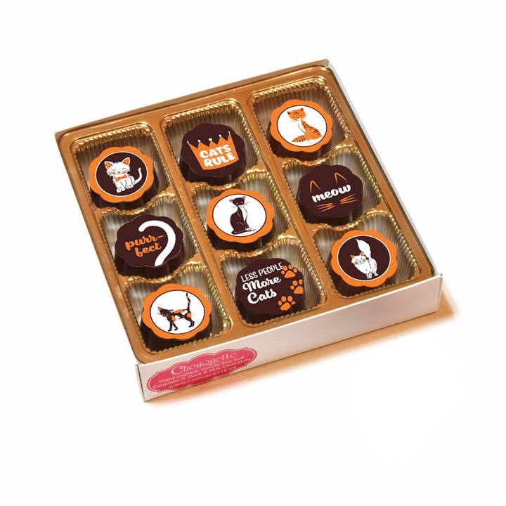 Chouquette - Wholesale Chocolate Box - CATS RULE - Chocolate Covered Caramels - Box of 52