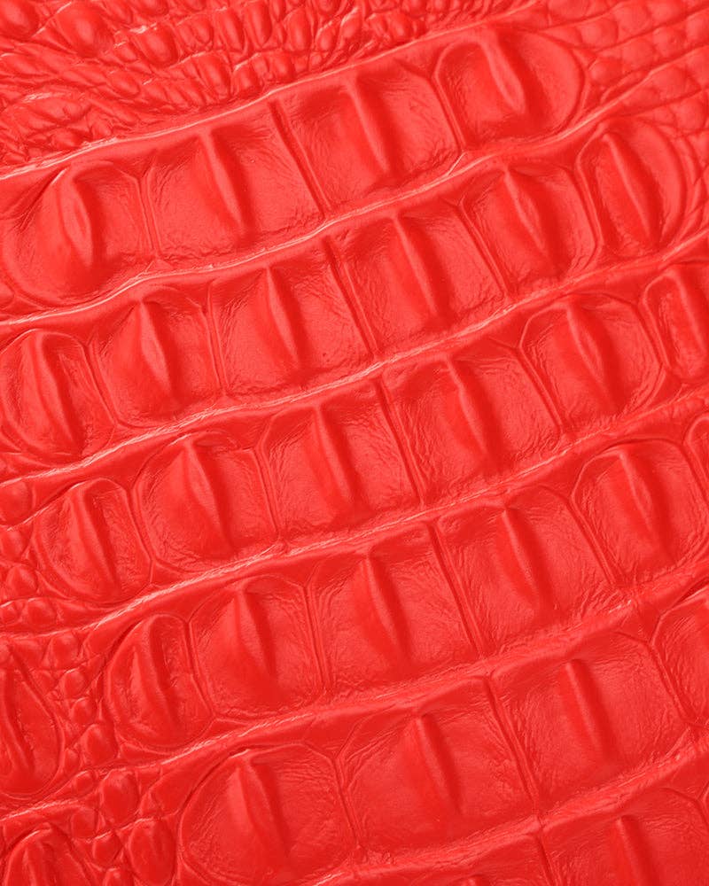 Tote&Carry - Wholesale Luggage - Apollo 2 Suitcase 2 Piece Set in Red18