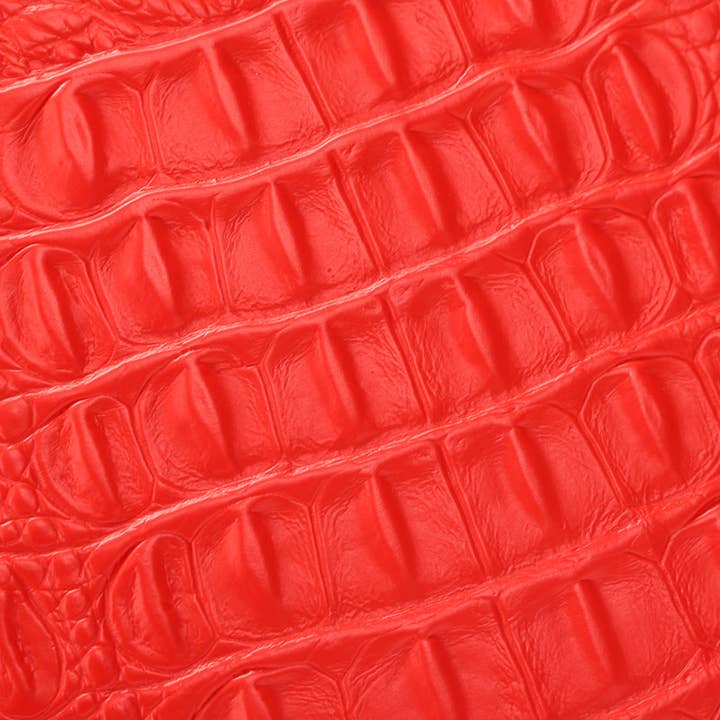 Tote&Carry - Wholesale Luggage - Apollo 2 Suitcase 2 Piece Set in Red18