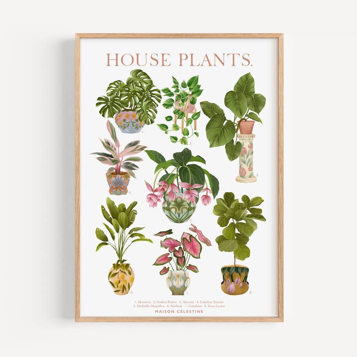 Display "House Plants" for wholesale by Maison Célestine