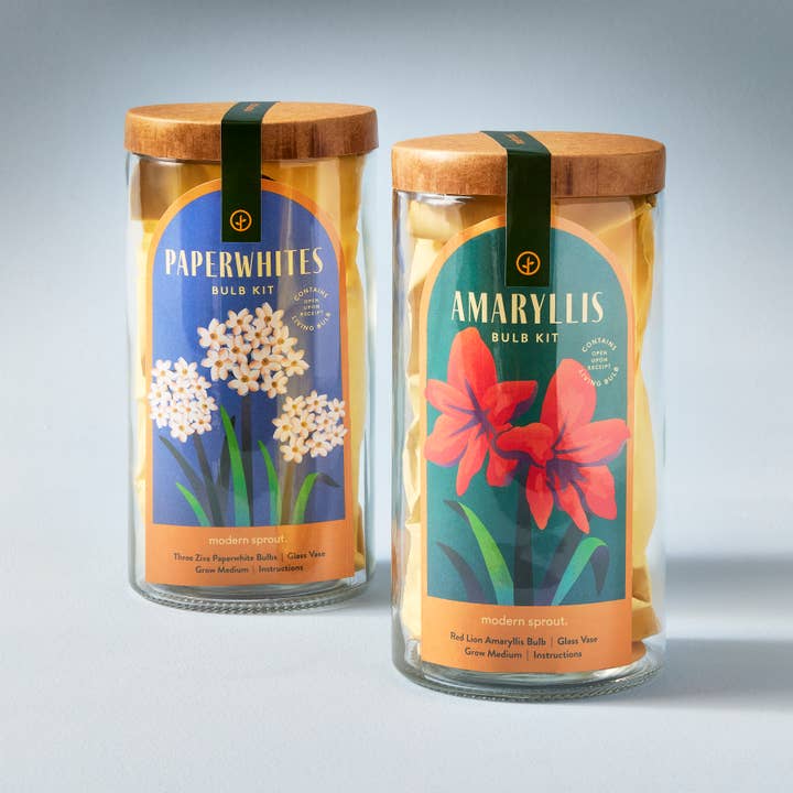 Modern Sprout - Wholesale Plant Seeds - Winter Bulb Kit