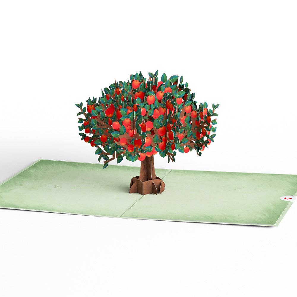 Lovepop Cards - Wholesale Everyday Greeting Card - Apple Tree Pop-Up Card 5x7"3