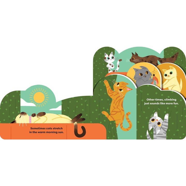 Gibbs Smith - Wholesale Book - Kids - Some Cats